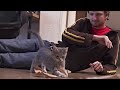 BONUS VID: Kittens Droppin' Beats