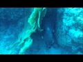aventure sous marine Mayotte | 