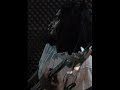 Meiraj in guitar & harmonica.wmv