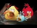 Angry Birds Rio Trailer