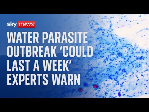 Water parasite outbreak 