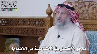 9 - ما هو الأفضل في الأضحية من الأنعام؟ - عثمان الخميس