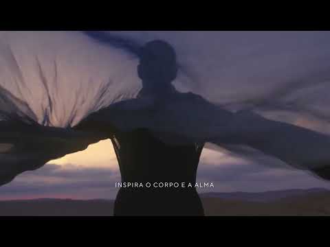 Apresentando o Wind by Porsche