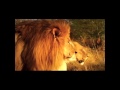 Bwana Yesu-Swahili-Française-Praise and Worship-Nyimbo sifa kuabudu kikristo Afrika 耶稣.mov