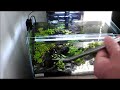 Cleaning a small planted tank