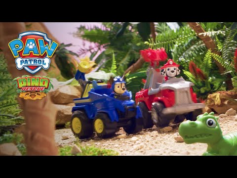 Paw Patrol Dino Rescue Themed Vehicles - Assorted*