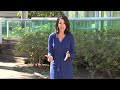 Tremor Disorder or Parkinson's