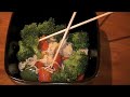 Shirataki Noodle Stir Fry Recipe