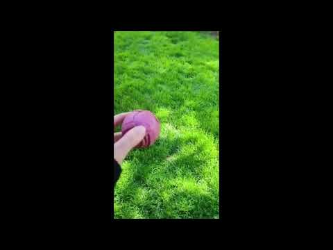 Vidéos des clients