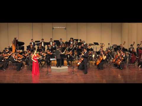 林姆斯基 高沙可夫  《大黃蜂的飛行》 (小提琴與單簧管)