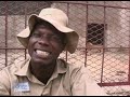WILD,DANGEROUS ANIMALS CONVERGE IN IKORODU, NIGERIA - FESTOUR