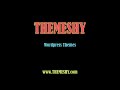 Music Wordpress Template - For Musicians / Artists
