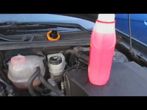 Emplacement du réservoir d'antigel dans Ford Focus Hatchback