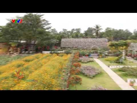 Cánh đồng hoa Đà Lạt ven sông Sài Gòn