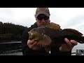 Alaska Fishing on the Salt in untouched remote wilderness with Alaska Man!!
