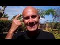 Robin Sharma on