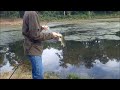 Hatcam Swimbait Fishing (6lbs and 3lbs)-Black Dog Shellcracker