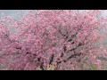 dhumakot pauri garhwal uttarakhand