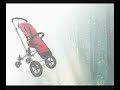 bugaboo cameleon