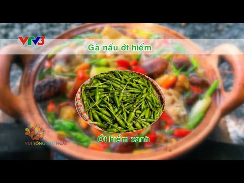 Súp nấm sườn heo ớt hiểm