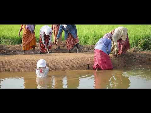 Rebuild Kerala Initiative