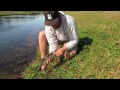 Fly Fishing for Bass in a Retention Pond