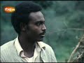 Eritrean struggle in 1975 doc in Spanish