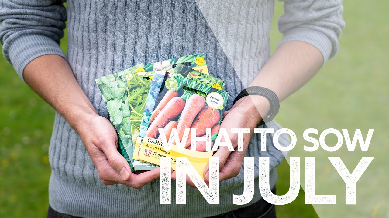 What To Sow in July | Seeds I'm Sowing This Month 2021