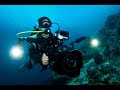 A Day in the Life of an Underwater Cameraman – Borneo From Below: Ep18 | 