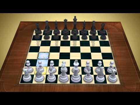marc schack zoom video