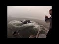 Whales almost eat Divers (Original Version)