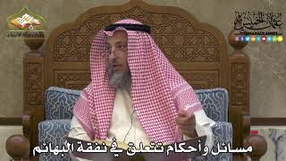 2217 - مسائل وأحكام تتعلق في نفقة البهائم - عثمان الخميس