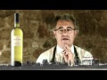Catas Segura Viudas: Creu de Lavit