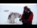 Polar Bears, Toilets & Jesus - Arctic Race Pt.1 - Top Gear Polar Special Now in HD - BBC