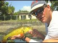 Addictive Fishing: Ultimate Urban Experience - PEACOCK BASS in Miami