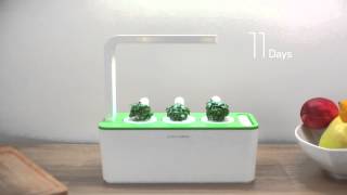 Smart Herb Garden