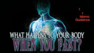 What Happens To Your Body When You Fast