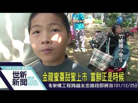 世新新聞-竹崎國小學生參觀蜜棗園 pic