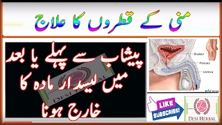 Mani Kay Qatron Ka ilaj | Ikhtilam Ka Sasta Aur Asan ilaj | Health Tips in Urdu | Jaryan Ka ilaj