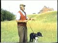 Sheepdog Training With Ted Hope Pt 1