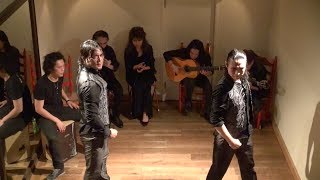 アルマ フラメンカのソレアの画像