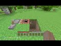 Minecraft (Xbox 360): Wall Breach Glitch with Pistons & TNT