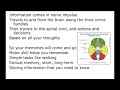 Brain Used To Know Song