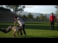 Jackass 3.5: Dave England Kicks Bam margera's Face HQ