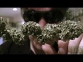 Trimming & Drying Part 2 of 3