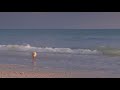 Musica de PIANO Clasico Romantico Mejor Instrumental de Relajacion Relajarse estudio calma lectura
