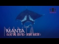 Manta Rays of Cano Island | Manta Rays