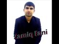 Zamiq Fani - Nazli Qemer Meyxana 2014