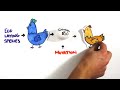 Which Came First - The Chicken or the Egg?
