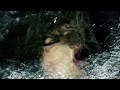 Darkstar - Amplified Ease (taken from new album 'News From Nowhere')